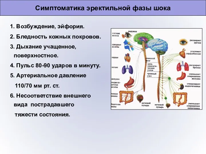 Симптоматика эректильной фазы шока 1. Возбуждение, эйфория. 2. Бледность кожных