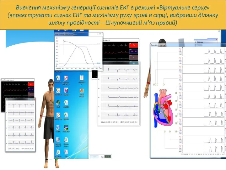 Вивчення механізму генерації сигналів ЕКГ в режимі «Віртуальне серце» (зпреєструвати