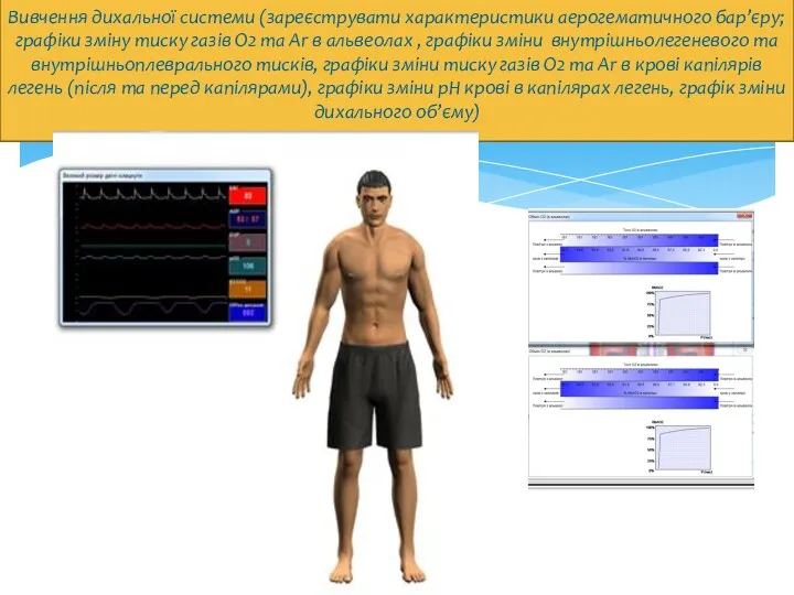 Вивчення дихальної системи (зареєструвати характеристики аерогематичного бар’єру; графіки зміну тиску