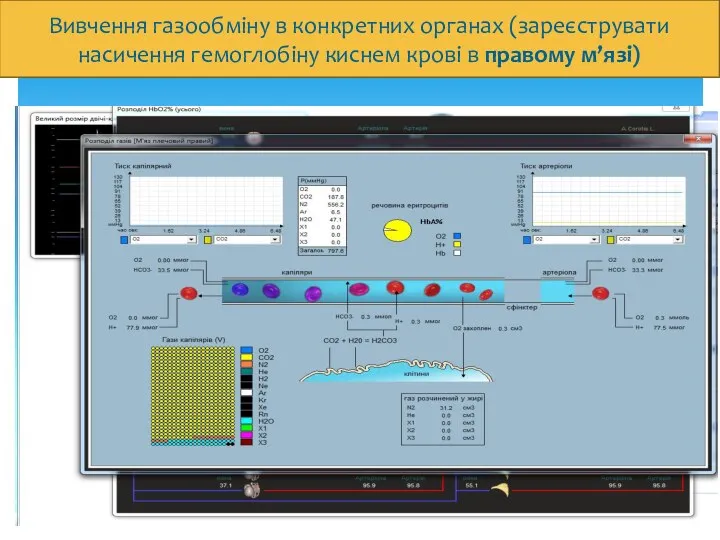 Вивчення газообміну в конкретних органах (зареєструвати насичення гемоглобіну киснем крові в правому м’язі)