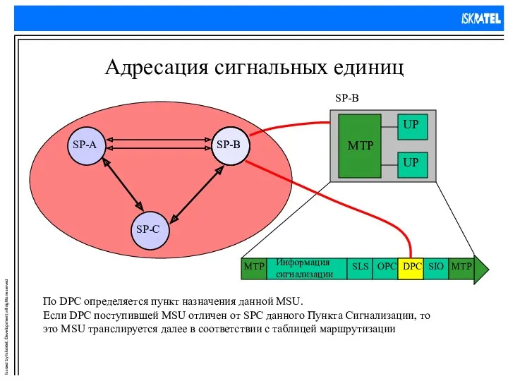 Адресация сигнальных единиц По DPC определяется пункт назначения данной MSU.