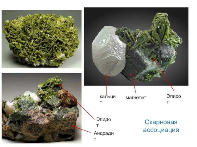 Скарновая ассоциация Эпидот Андрадит Эпидот кальцит магнетит