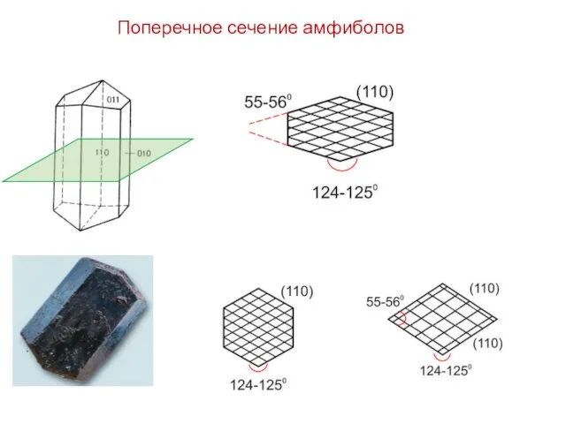 Поперечное сечение амфиболов