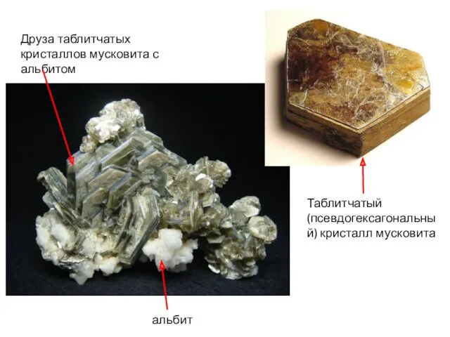 Таблитчатый (псевдогексагональный) кристалл мусковита Друза таблитчатых кристаллов мусковита с альбитом альбит