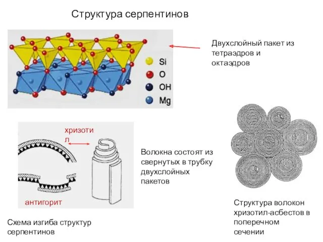 Структура серпентинов Структура волокон хризотил-асбестов в поперечном сечении Схема изгиба