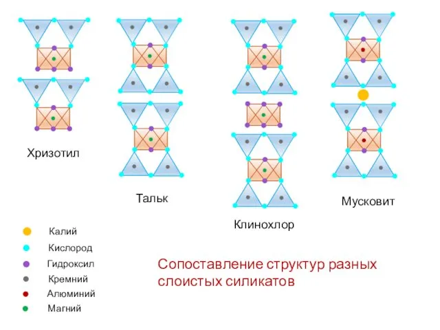 Клинохлор Мусковит Тальк Хризотил Сопоставление структур разных слоистых силикатов