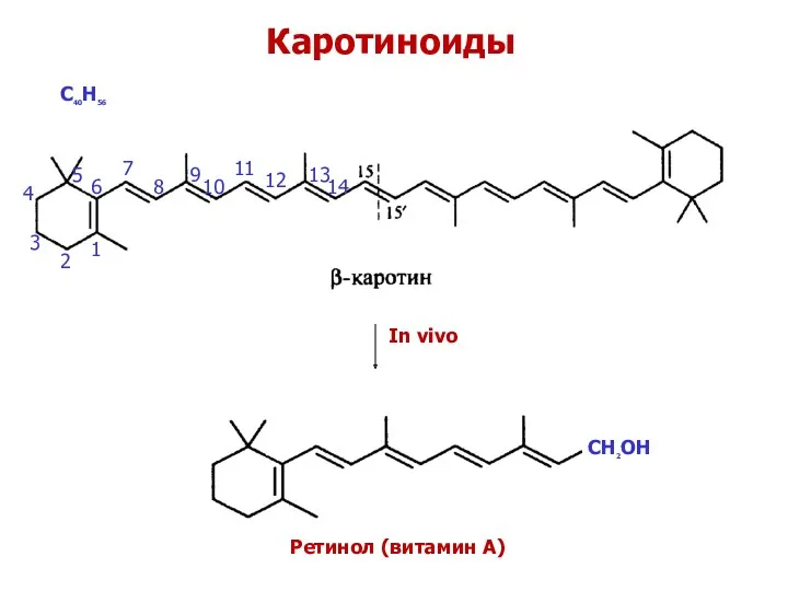 Каротиноиды С40Н56 In vivo Ретинол (витамин А) В - каротин