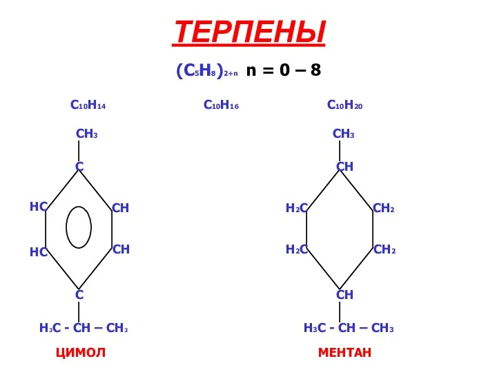 ТЕРПЕНЫ (C5H8)2+n n = 0 – 8 CH CH C