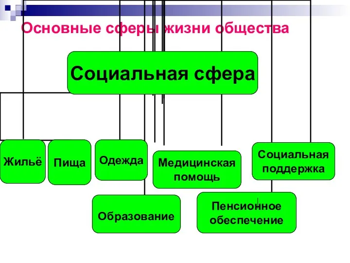 Основные сферы жизни общества