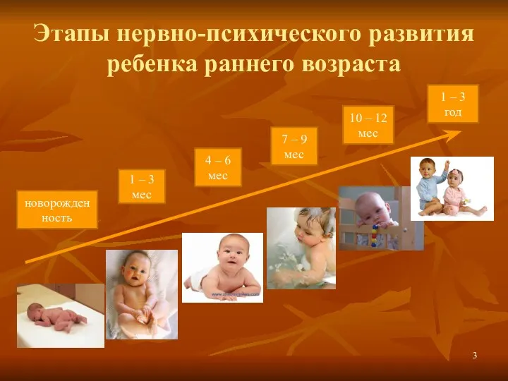 Этапы нервно-психического развития ребенка раннего возраста новорожденность 1 – 3