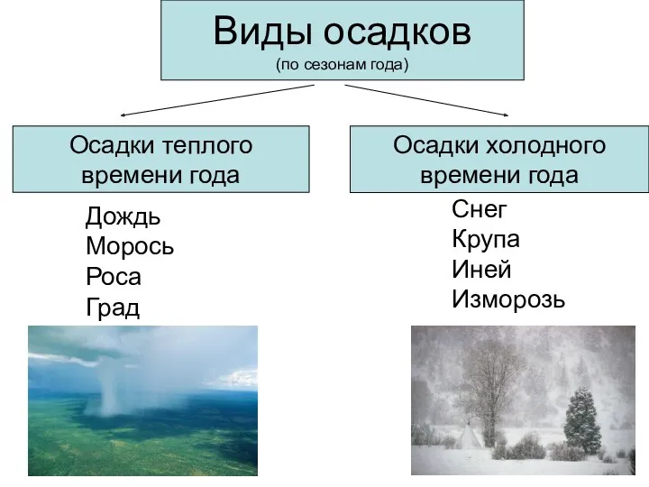 Виды осадков (по сезонам года) Осадки теплого времени года Осадки