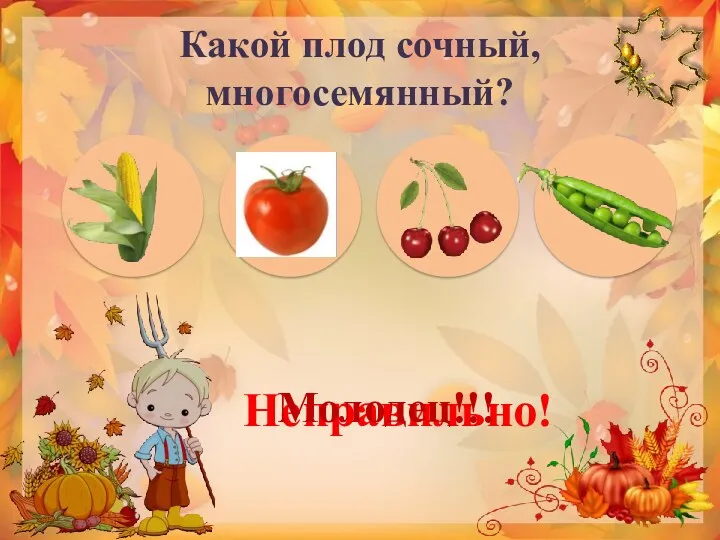 Какой плод сочный, многосемянный? Неправильно! Молодец!!!