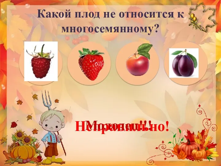 Какой плод не относится к многосемянному? Неправильно! Молодец!!!