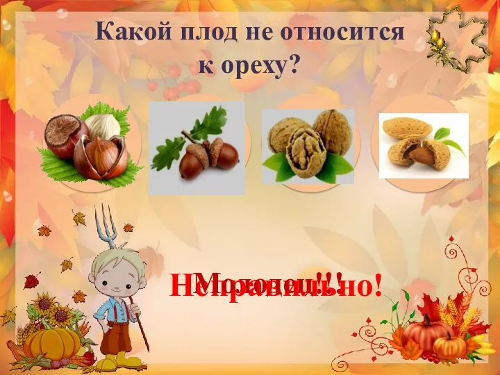 Какой плод не относится к ореху? Неправильно! Молодец!!!