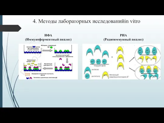 4. Методы лабораторных исследованийin vitro