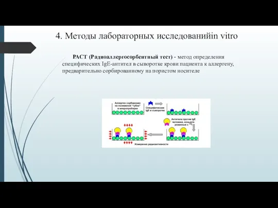 4. Методы лабораторных исследованийin vitro РАСТ (Радиоаллергосорбентный тест) - метод