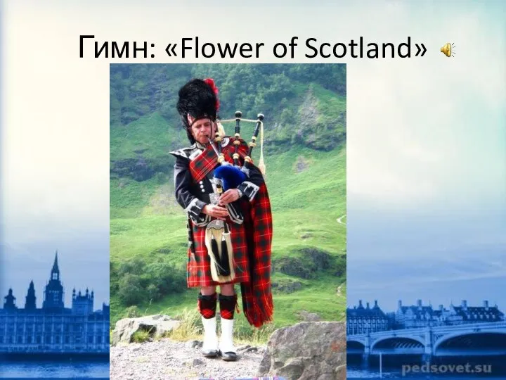 Гимн: «Flower of Scotland»