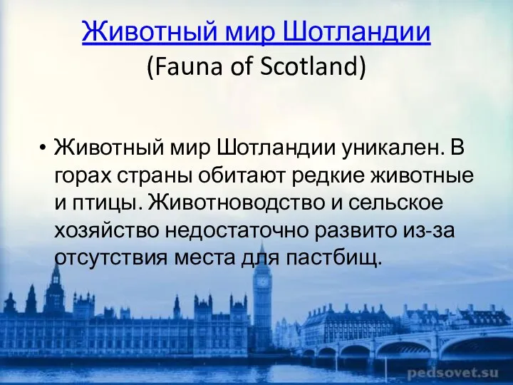 Животный мир Шотландии (Fauna of Scotland) Животный мир Шотландии уникален.