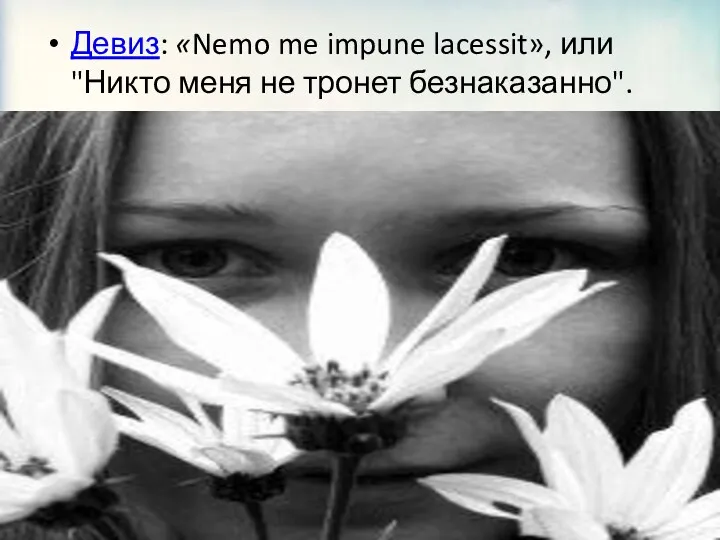 Девиз: «Nemo me impune lacessit», или "Никто меня не тронет безнаказанно".