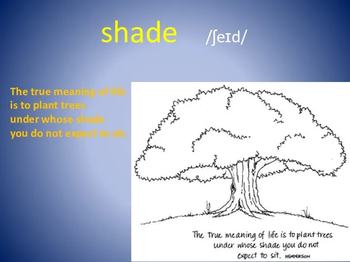 shade /ʃeɪd/ The true meaning of life is to plant