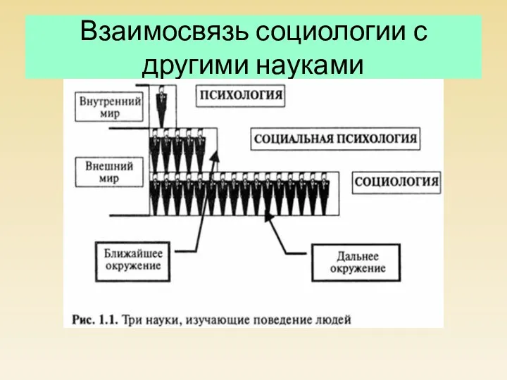 Взаимосвязь социологии с другими науками