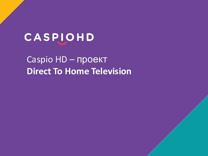 Структура продаж компании CaspioHD для дилеров