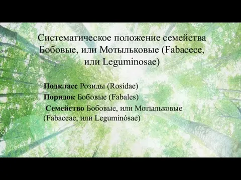 Подкласс Розиды (Rosidae) Порядок Бобовые (Fabales) Семейство Бобовые, или Мотыльковые (Fabaceae, или Leguminósae)