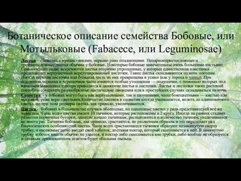 Листья – сложные, с прилистниками, нередко рано опадающими. Непарноперистосложные и тройчатосложные листья обычны