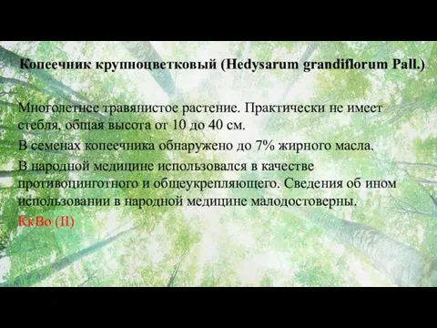 Копеечник крупноцветковый (Hedysarum grandiflorum Pall.) Многолетнее травянистое растение. Практически не имеет стебля, общая
