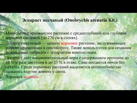 Эспарцет песчаный (Onobrychis arenaria Kit.) Многолетнее травянистое растение с среднеглубокой или глубокой корневой