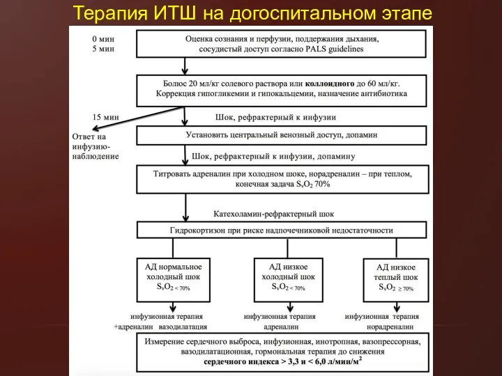 Терапия ИТШ на догоспитальном этапе