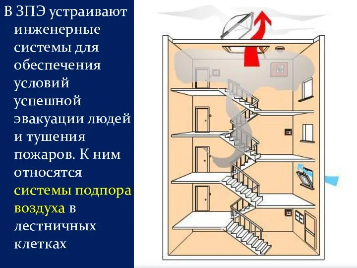 В ЗПЭ устраивают инженерные системы для обеспечения условий успешной эвакуации