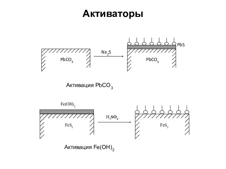 Активаторы Активация PbCO3 Активация Fe(OH)2