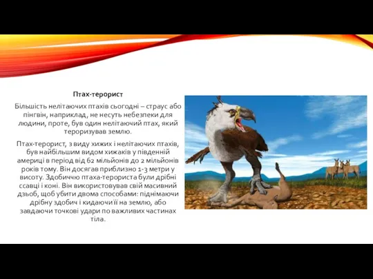 Птах-терорист Більшість нелітаючих птахів сьогодні – страус або пінгвін, наприклад,