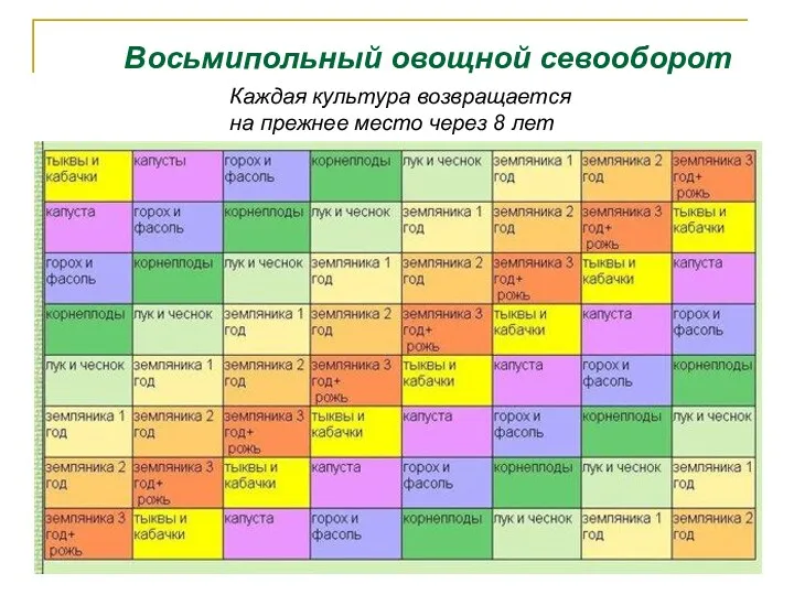 Восьмипольный овощной севооборот Каждая культура возвращается на прежнее место через 8 лет