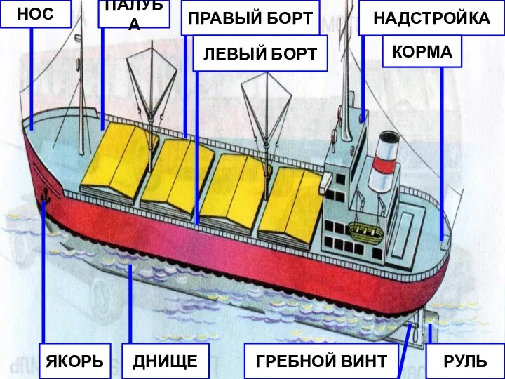 НОС ПАЛУБА ЯКОРЬ ДНИЩЕ ГРЕБНОЙ ВИНТ РУЛЬ НАДСТРОЙКА КОРМА ПРАВЫЙ БОРТ ЛЕВЫЙ БОРТ