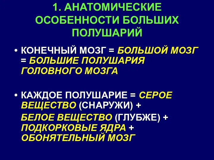 1. АНАТОМИЧЕСКИЕ ОСОБЕННОСТИ БОЛЬШИХ ПОЛУШАРИЙ КОНЕЧНЫЙ МОЗГ = БОЛЬШОЙ МОЗГ