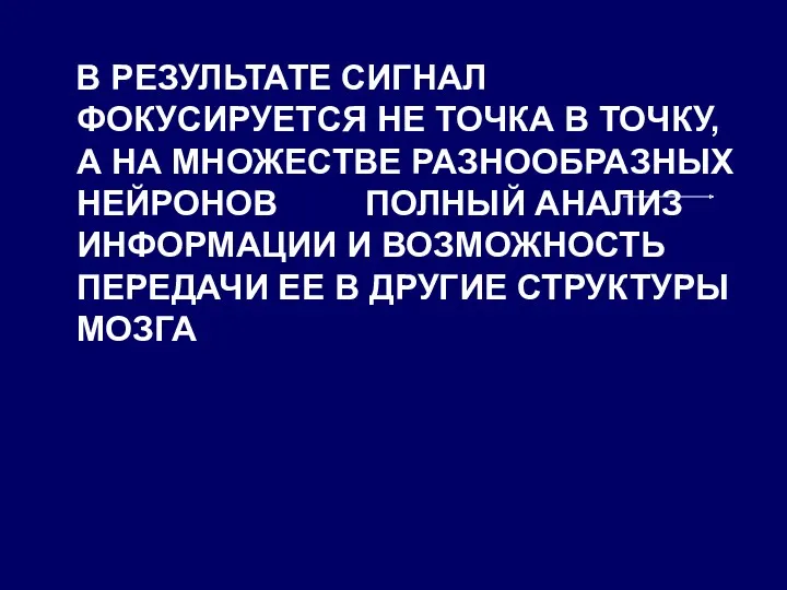 В РЕЗУЛЬТАТЕ СИГНАЛ ФОКУСИРУЕТСЯ НЕ ТОЧКА В ТОЧКУ, А НА МНОЖЕСТВЕ РАЗНООБРАЗНЫХ НЕЙРОНОВ