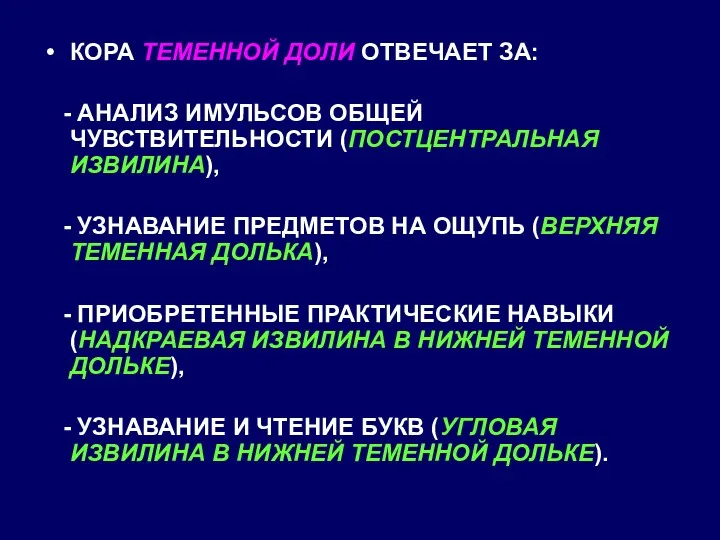 КОРА ТЕМЕННОЙ ДОЛИ ОТВЕЧАЕТ ЗА: - АНАЛИЗ ИМУЛЬСОВ ОБЩЕЙ ЧУВСТВИТЕЛЬНОСТИ