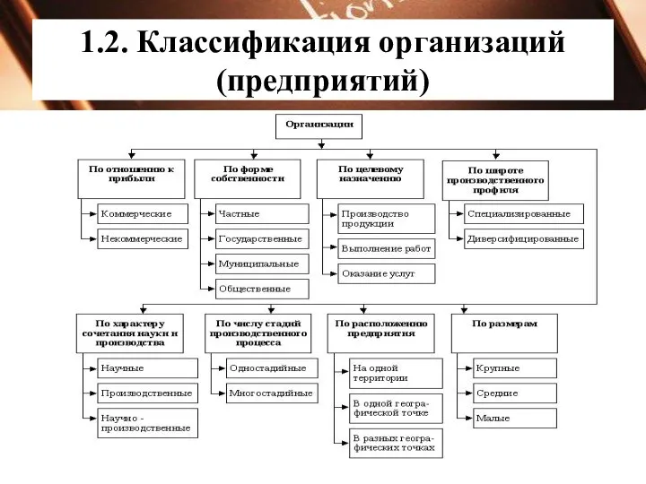 1.2. Классификация организаций (предприятий)