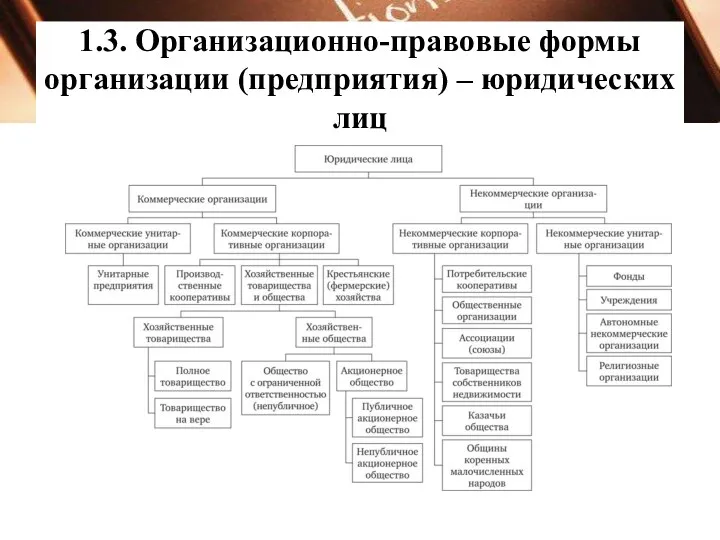 1.3. Организационно-правовые формы организации (предприятия) – юридических лиц