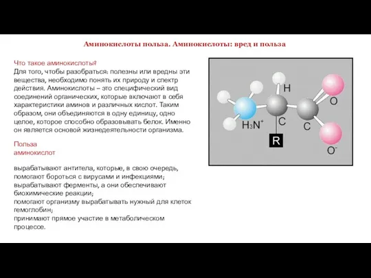 Аминокислоты польза. Аминокислоты: вред и польза Что такое аминокислоты? Для