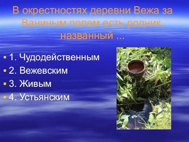 В окрестностях деревни Вежа за Ваниным полем есть родник, названный ... 1. Чудодейственным