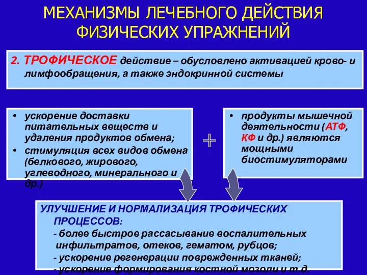 2. ТРОФИЧЕСКОЕ действие – обусловлено активацией крово- и лимфообращения, а