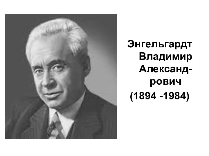 Энгельгардт Владимир Александ-рович (1894 -1984)