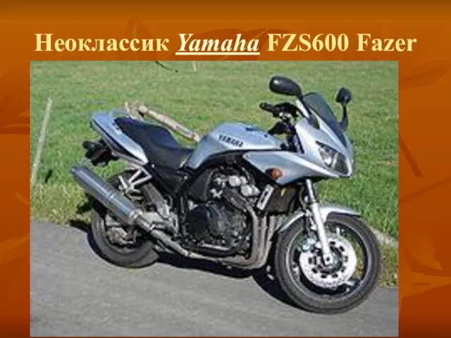 Неоклассик Yamaha FZS600 Fazer
