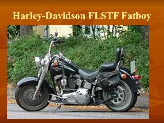 Harley-Davidson FLSTF Fatboy