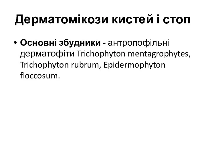 Дерматомікози кистей і стоп Основні збудники - антропофільні дерматофіти Trichophyton mentagrophytes, Trichophyton rubrum, Epidermophyton floccosum.