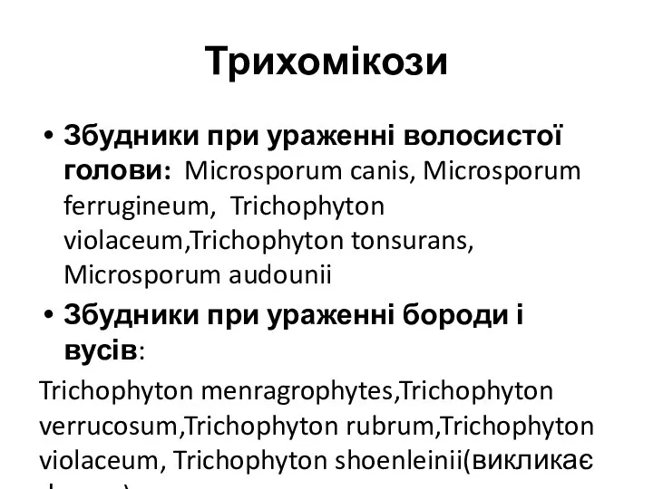 Трихомікози Збудники при ураженні волосистої голови: Microsporum canis, Microsporum ferrugineum,