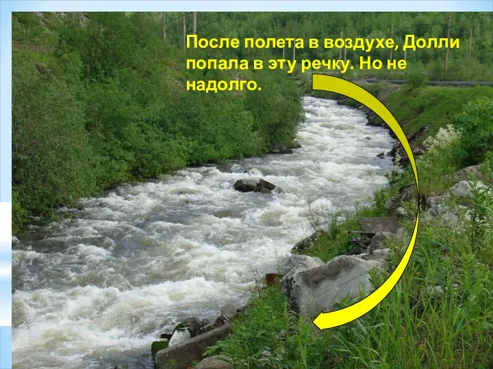 После полета в воздухе, Долли попала в эту речку. Но не надолго.